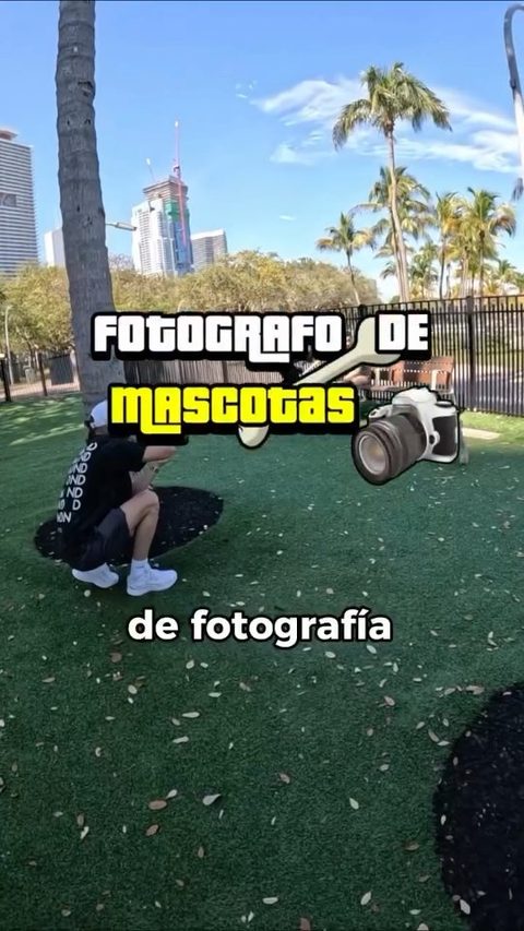 Luis R. Ferga — Fotografía de Mascotas
